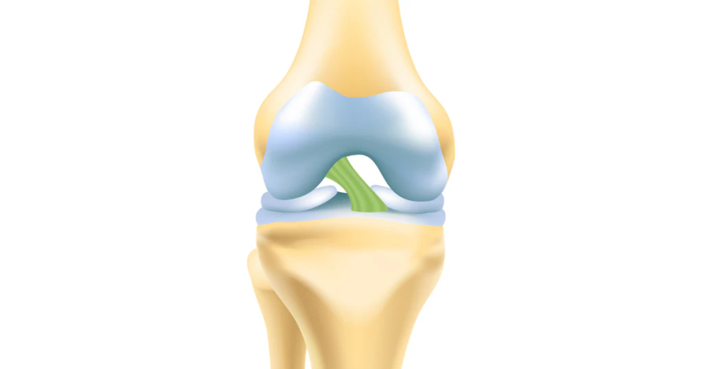 ACL là gì_ Vì sao nó quan trọng đến vậy
