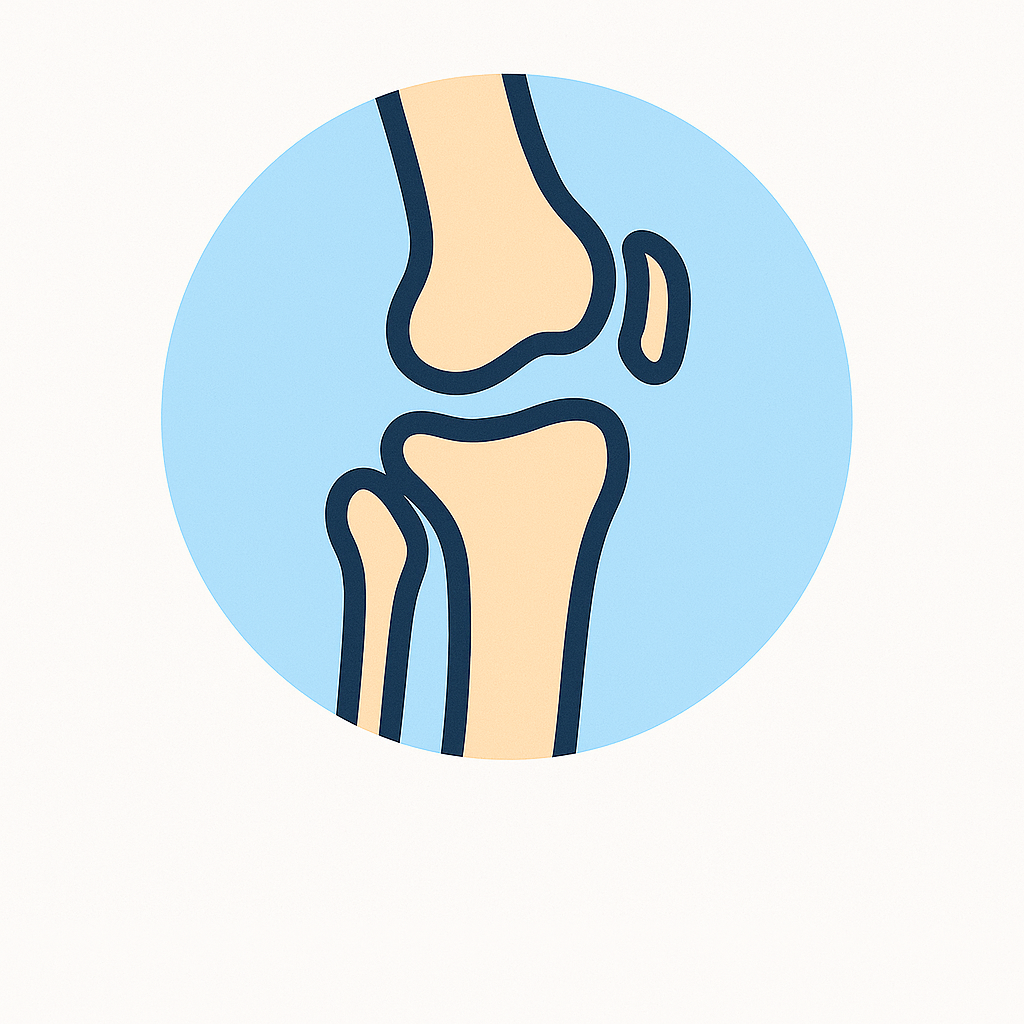 xương đầu gối